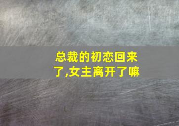 总裁的初恋回来了,女主离开了嘛