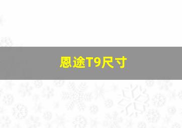 恩途T9尺寸