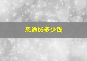 恩途t6多少钱