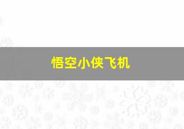 悟空小侠飞机