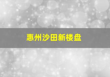 惠州沙田新楼盘