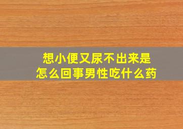 想小便又尿不出来是怎么回事男性吃什么药