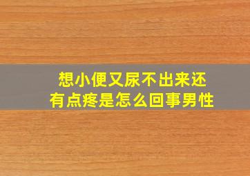 想小便又尿不出来还有点疼是怎么回事男性