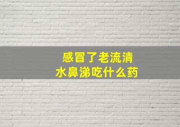 感冒了老流清水鼻涕吃什么药