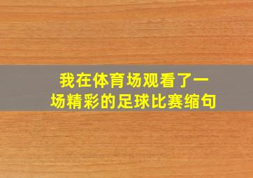 我在体育场观看了一场精彩的足球比赛缩句