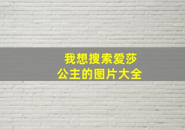 我想搜索爱莎公主的图片大全