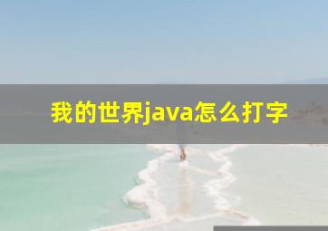 我的世界java怎么打字