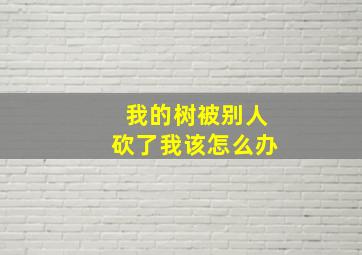 我的树被别人砍了我该怎么办