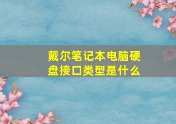 戴尔笔记本电脑硬盘接口类型是什么