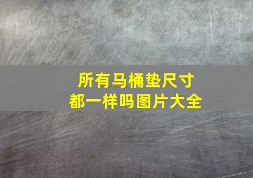 所有马桶垫尺寸都一样吗图片大全