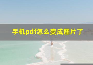 手机pdf怎么变成图片了