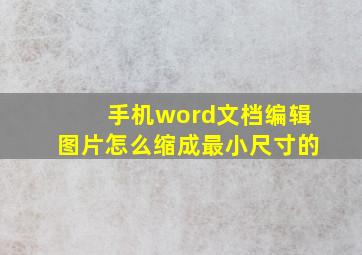 手机word文档编辑图片怎么缩成最小尺寸的