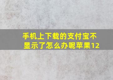 手机上下载的支付宝不显示了怎么办呢苹果12