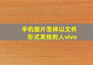 手机图片怎样以文件形式发给别人vivo