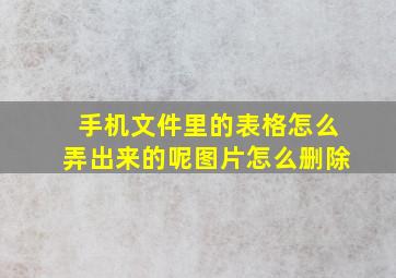 手机文件里的表格怎么弄出来的呢图片怎么删除