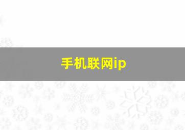 手机联网ip