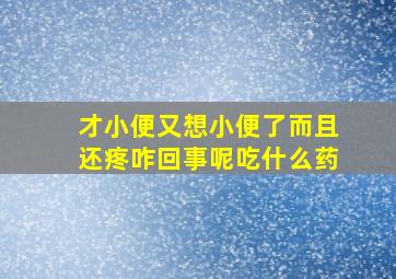 才小便又想小便了而且还疼咋回事呢吃什么药