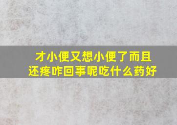 才小便又想小便了而且还疼咋回事呢吃什么药好