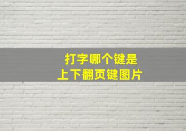 打字哪个键是上下翻页键图片