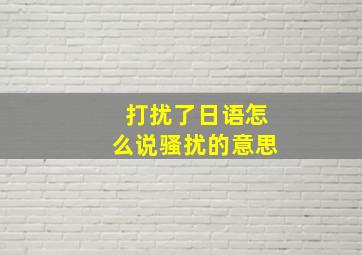 打扰了日语怎么说骚扰的意思