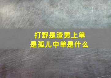 打野是渣男上单是孤儿中单是什么