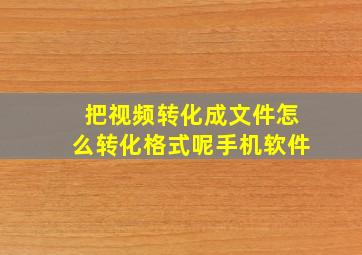 把视频转化成文件怎么转化格式呢手机软件