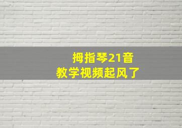 拇指琴21音教学视频起风了