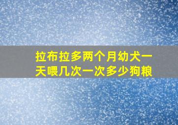 拉布拉多两个月幼犬一天喂几次一次多少狗粮