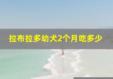 拉布拉多幼犬2个月吃多少