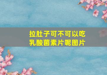 拉肚子可不可以吃乳酸菌素片呢图片