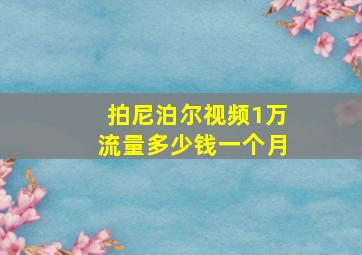 拍尼泊尔视频1万流量多少钱一个月