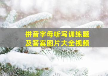 拼音字母听写训练题及答案图片大全视频