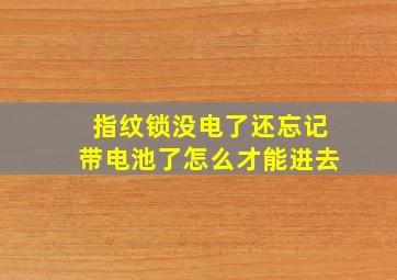 指纹锁没电了还忘记带电池了怎么才能进去