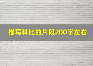 描写科比的片段200字左右