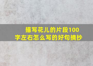 描写花儿的片段100字左右怎么写的好句摘抄