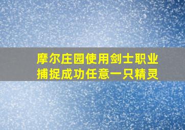 摩尔庄园使用剑士职业捕捉成功任意一只精灵