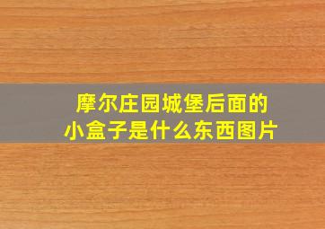 摩尔庄园城堡后面的小盒子是什么东西图片