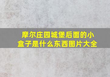 摩尔庄园城堡后面的小盒子是什么东西图片大全