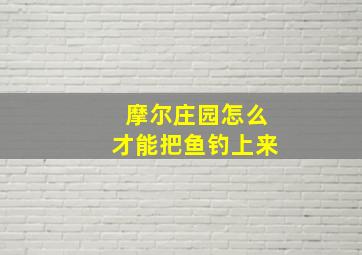 摩尔庄园怎么才能把鱼钓上来