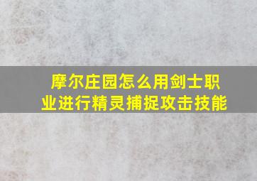 摩尔庄园怎么用剑士职业进行精灵捕捉攻击技能