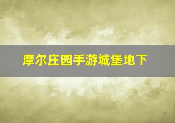 摩尔庄园手游城堡地下