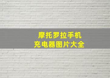 摩托罗拉手机充电器图片大全