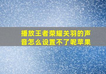 播放王者荣耀关羽的声音怎么设置不了呢苹果