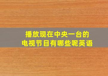 播放现在中央一台的电视节目有哪些呢英语