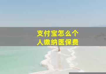 支付宝怎么个人缴纳医保费