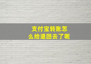 支付宝转账怎么给退回去了呢