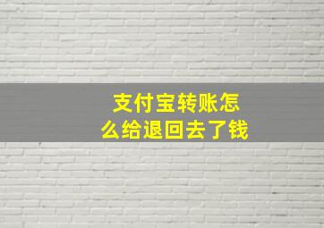 支付宝转账怎么给退回去了钱