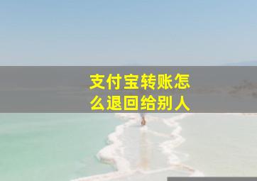 支付宝转账怎么退回给别人