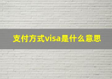 支付方式visa是什么意思