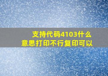 支持代码4103什么意思打印不行复印可以